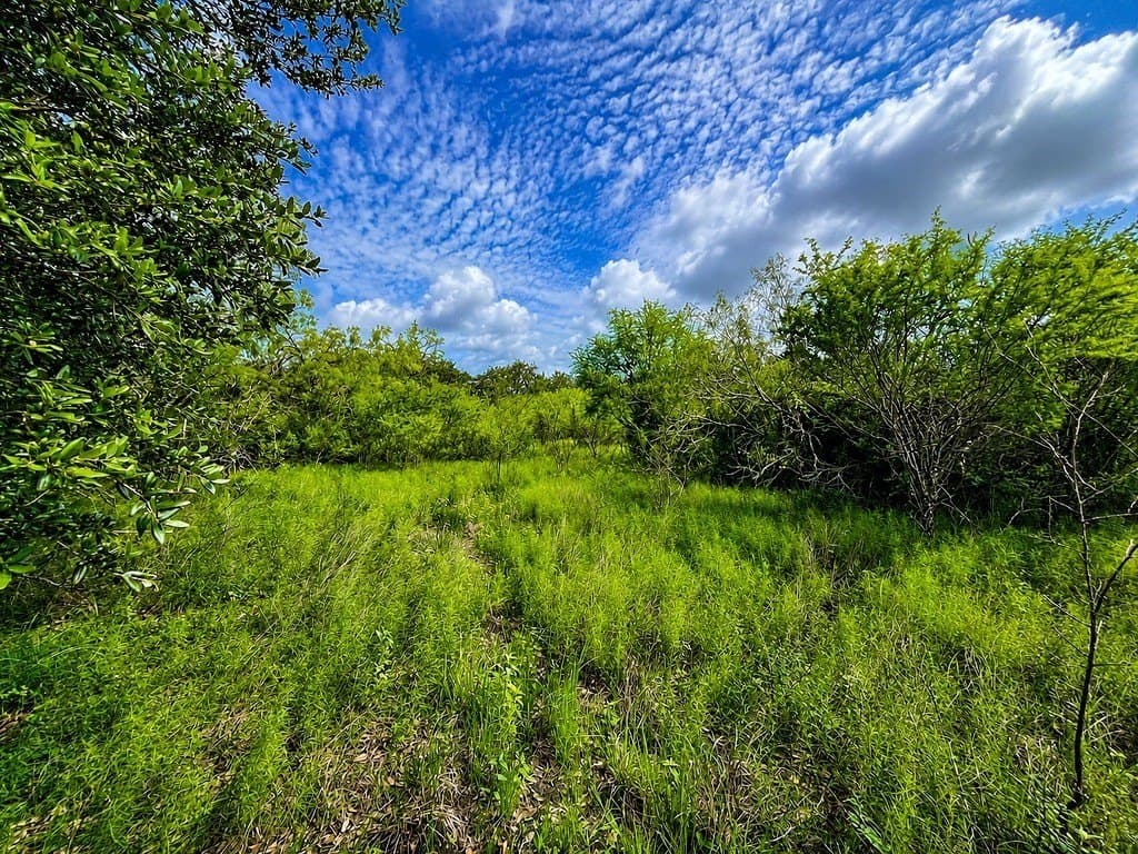 7.31 acres in Colorado County