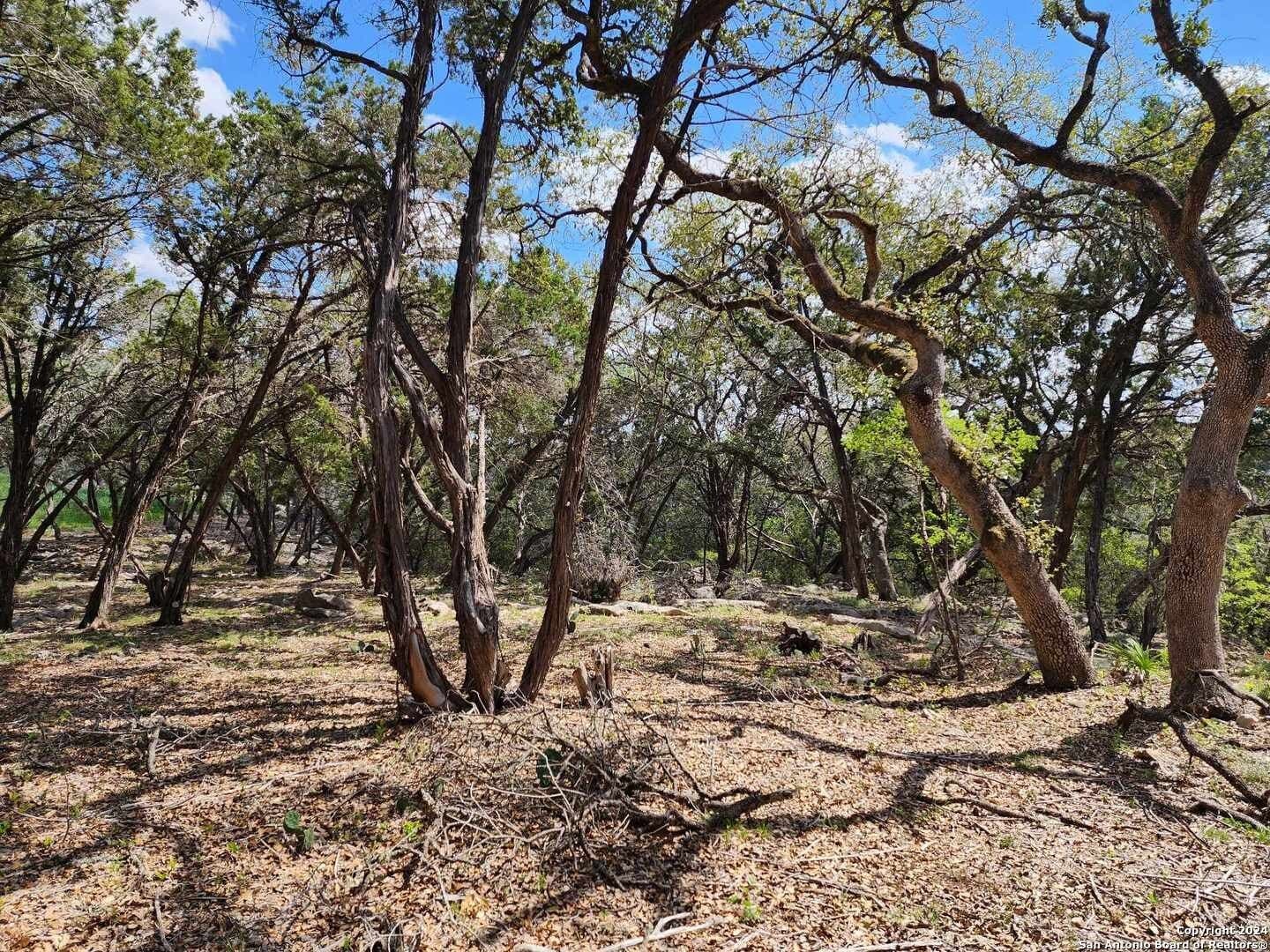 0.73 acres in Comal County