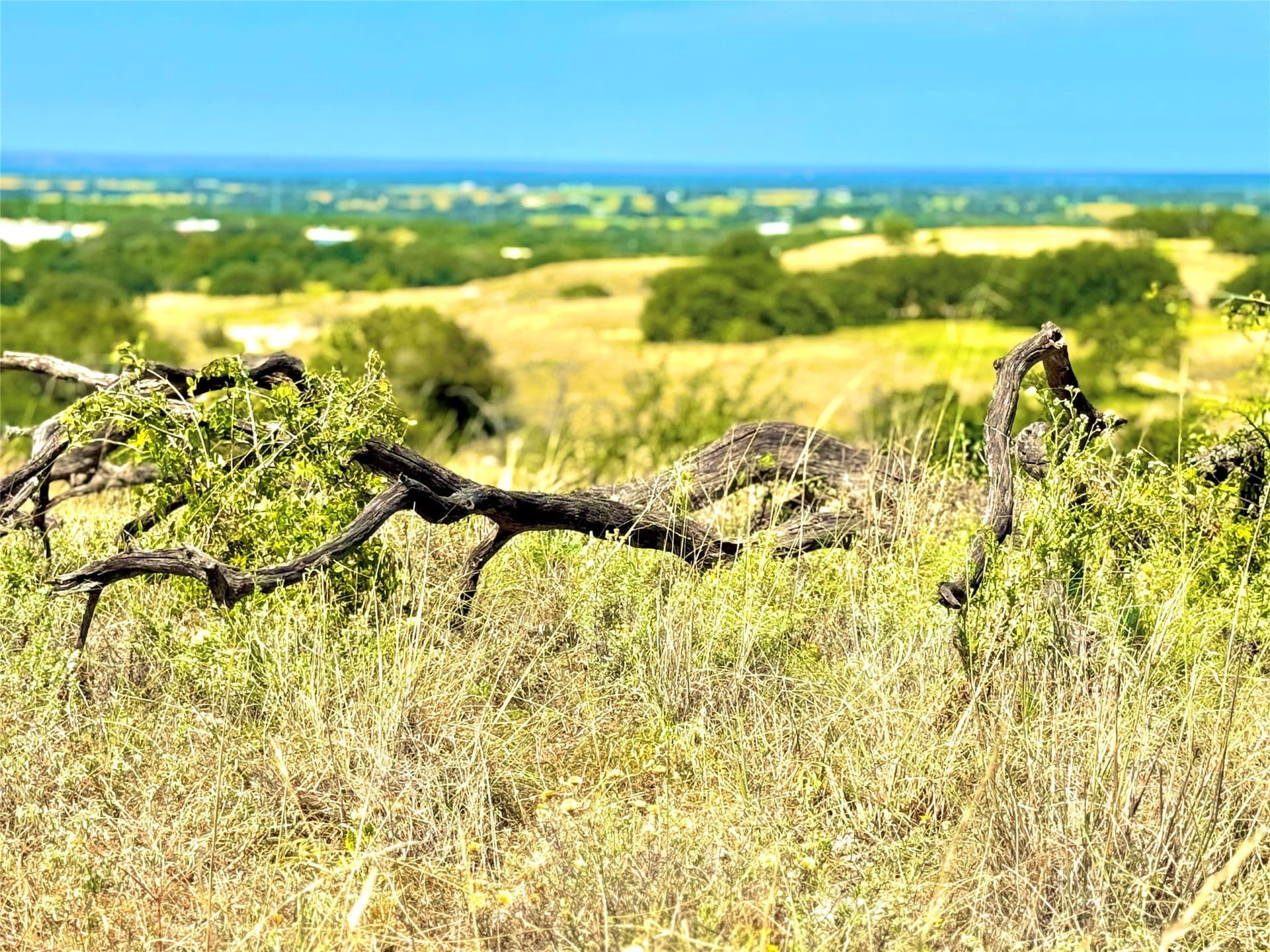 20 acres in Mills County