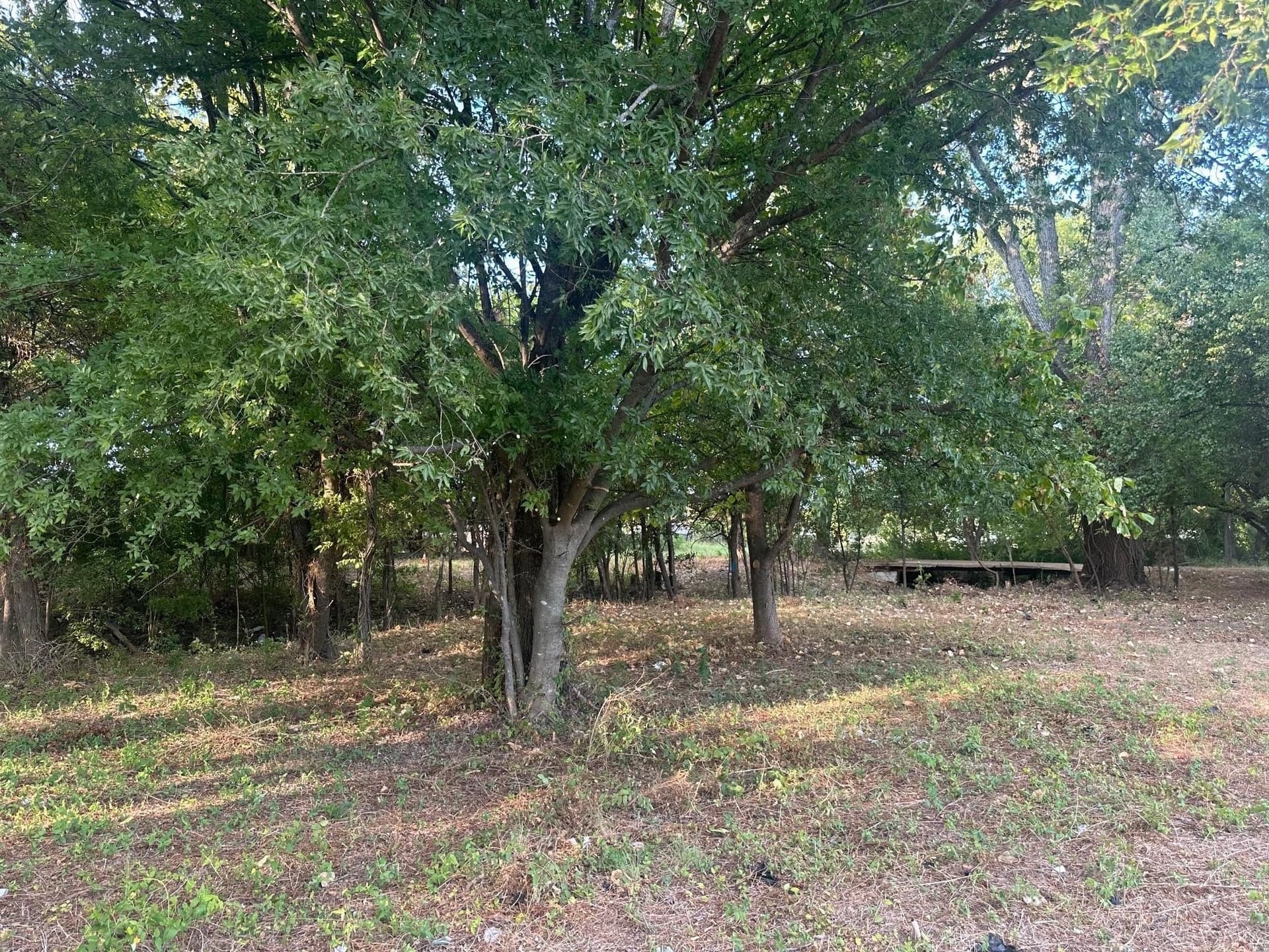 0.77 acres in Dallas County