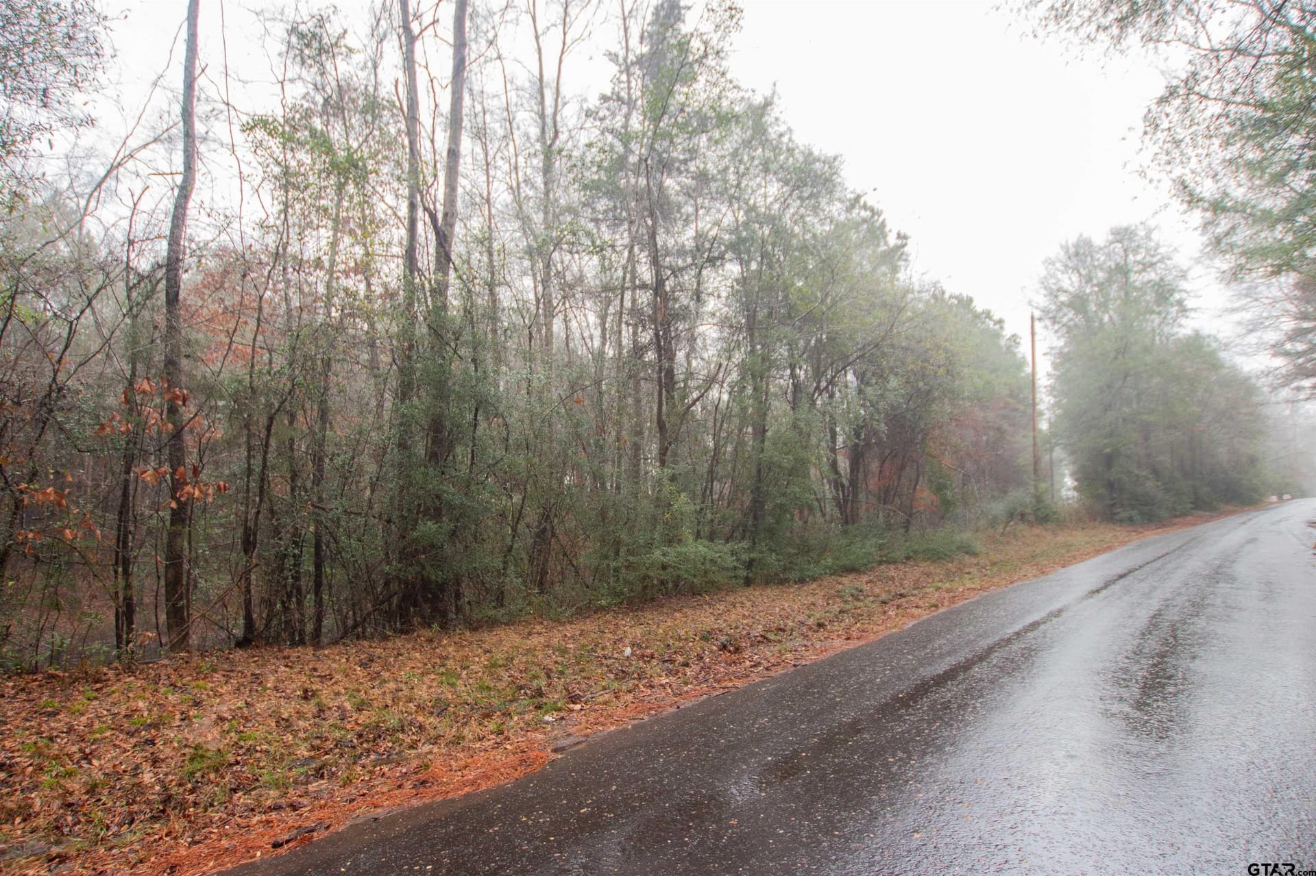 19.63 acres in Panola County