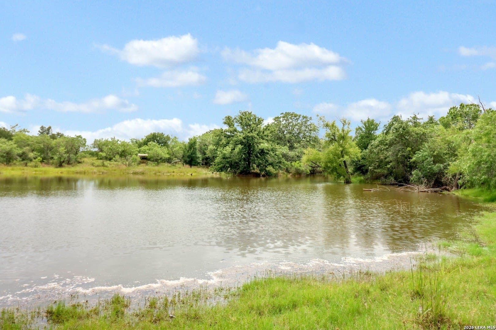 52.97 acres in Guadalupe County