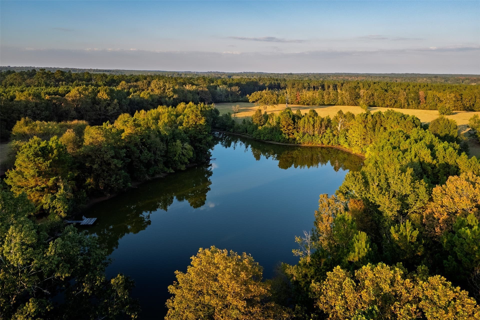 100 acres in Shelby County