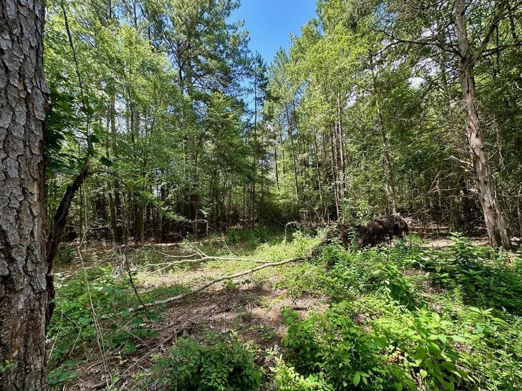 1.65 acres in Texas County