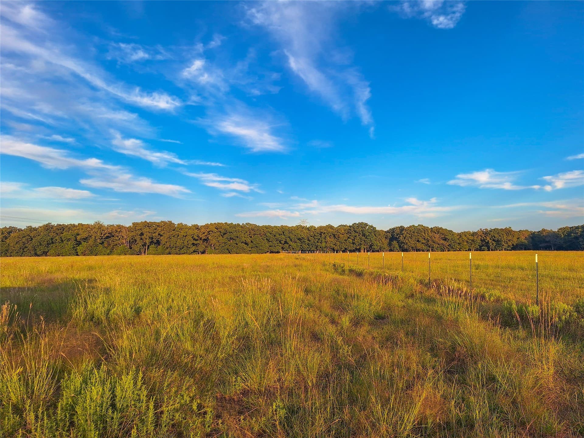 17 acres in Henderson County