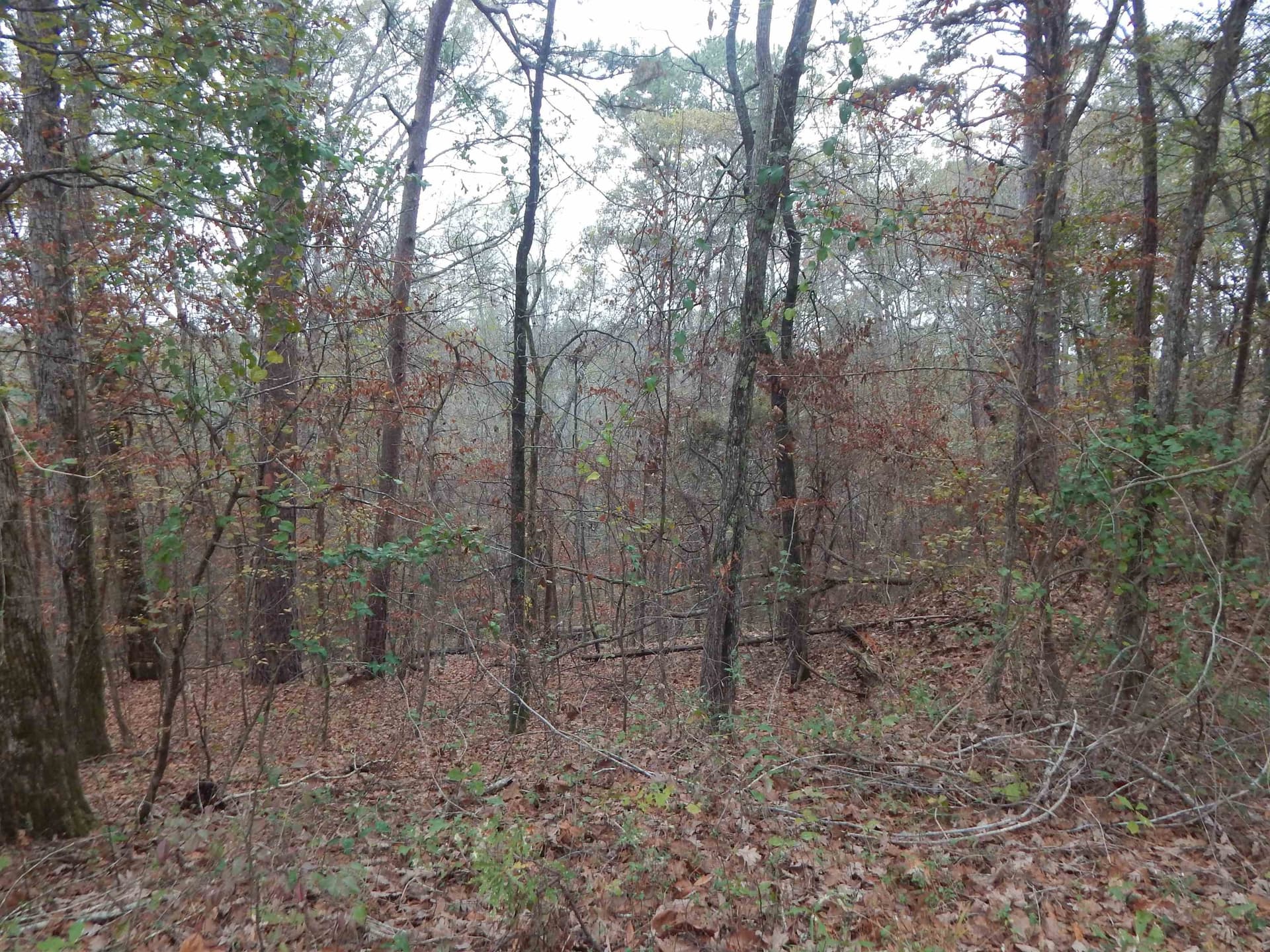 1.29 acres in Upshur County