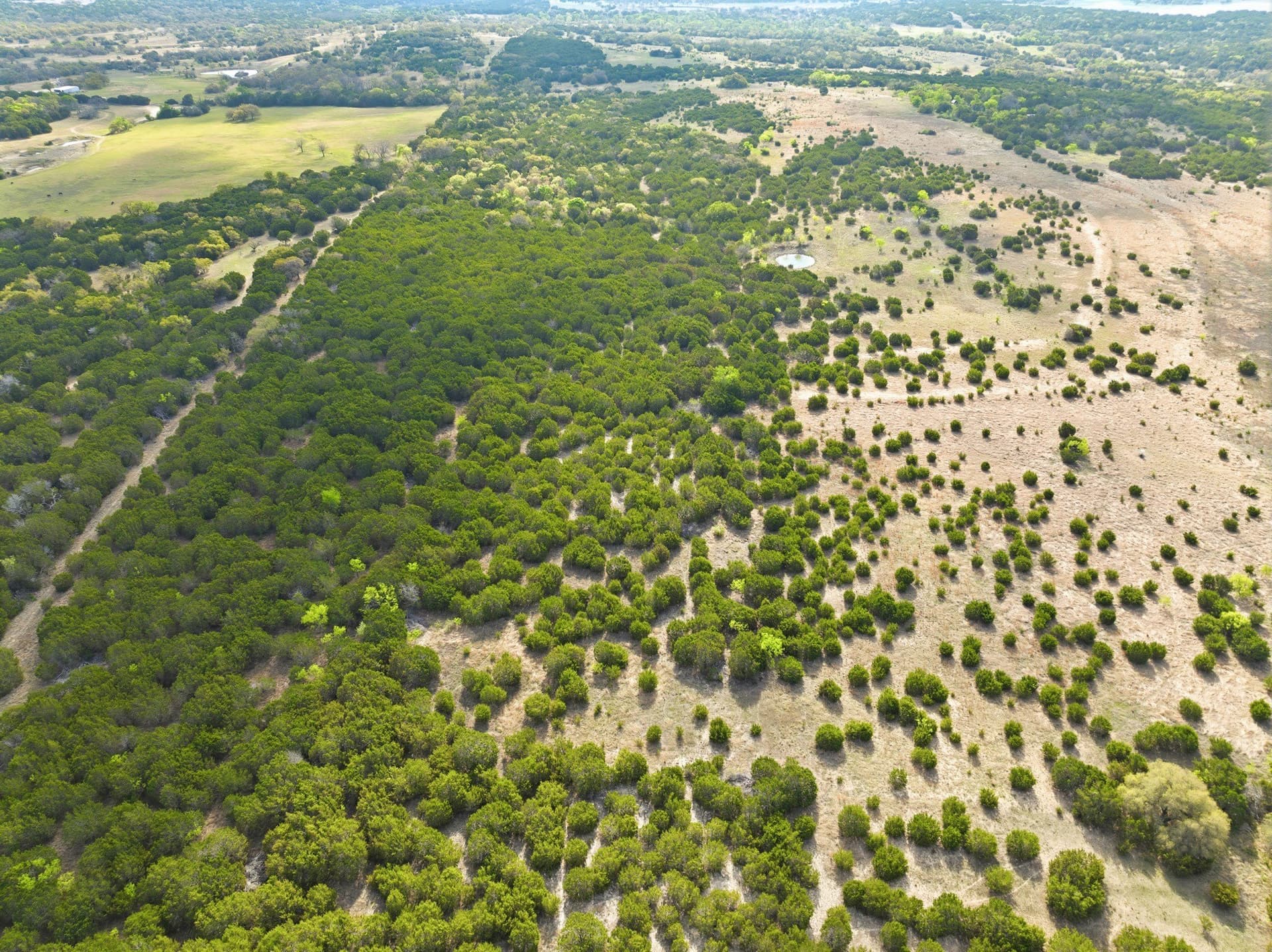 129.42 acres in Coryell County