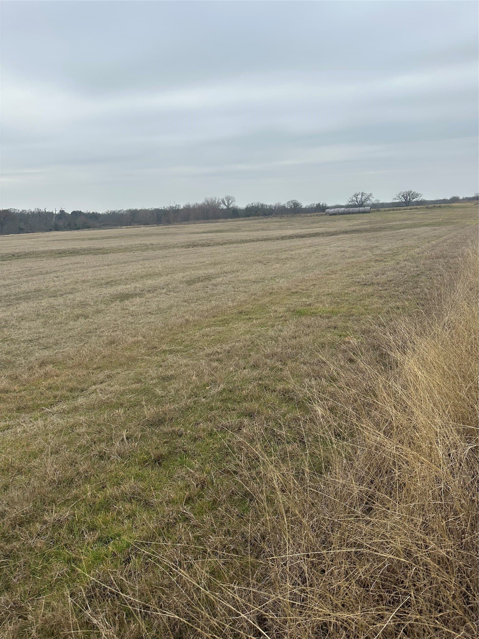 41 acres in Wise County