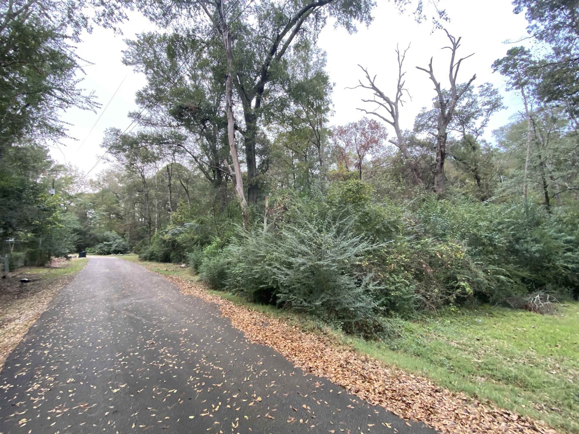 9.23 acres in Shelby County