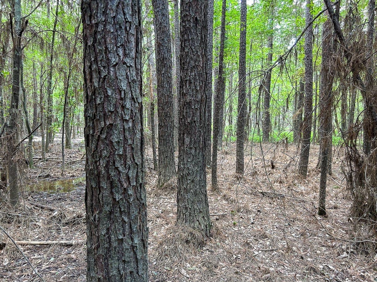 180 acres in Polk County