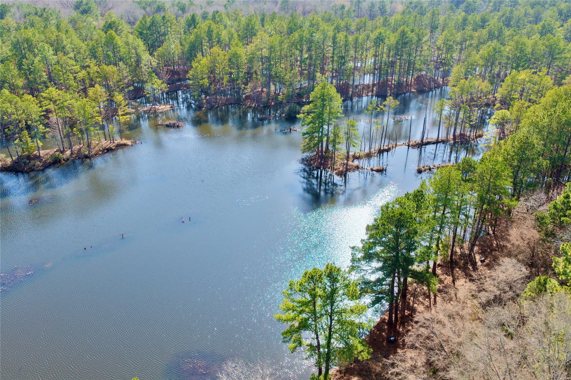 468 acres in Bowie County