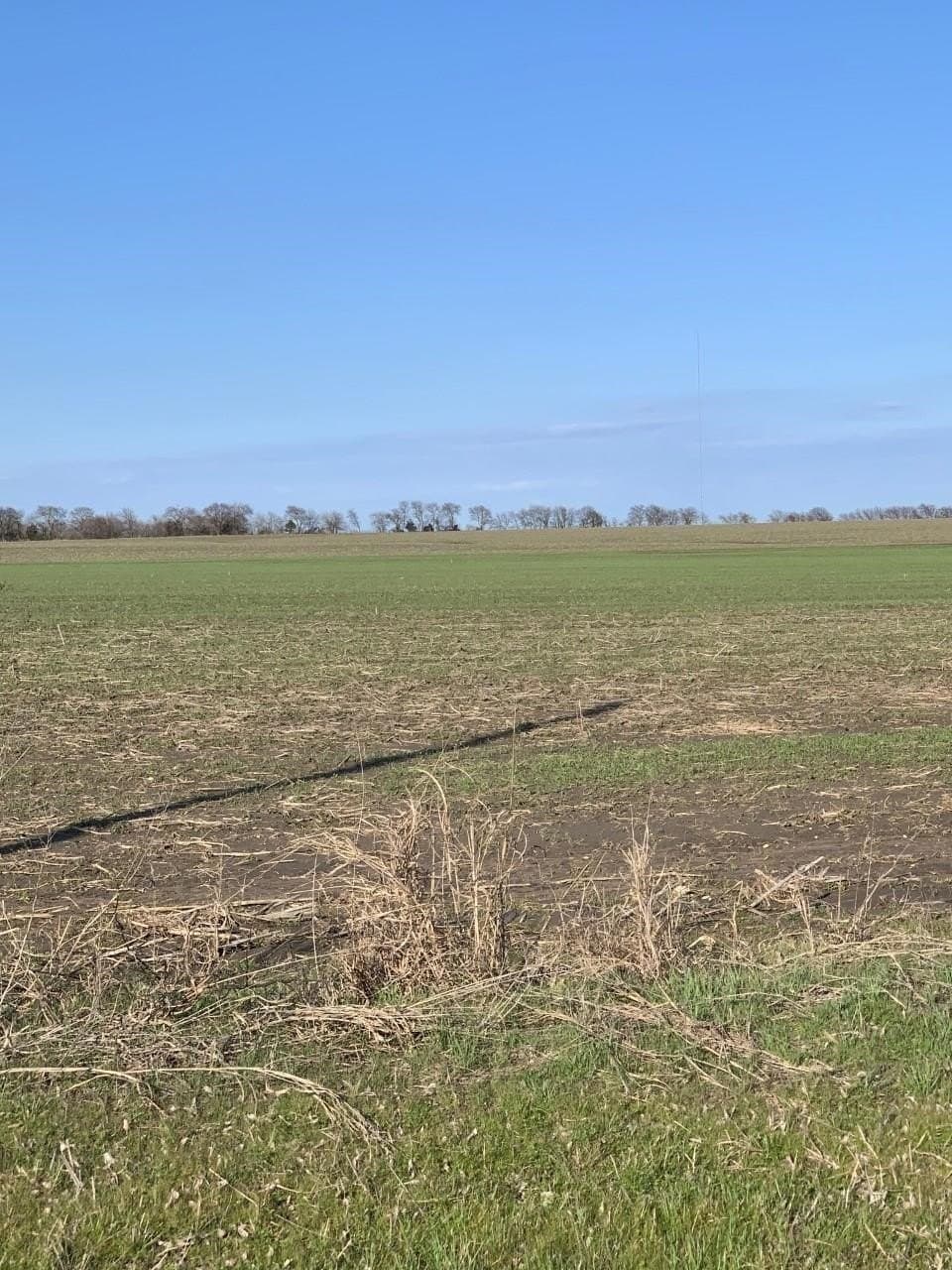 18.04 acres in Grayson County