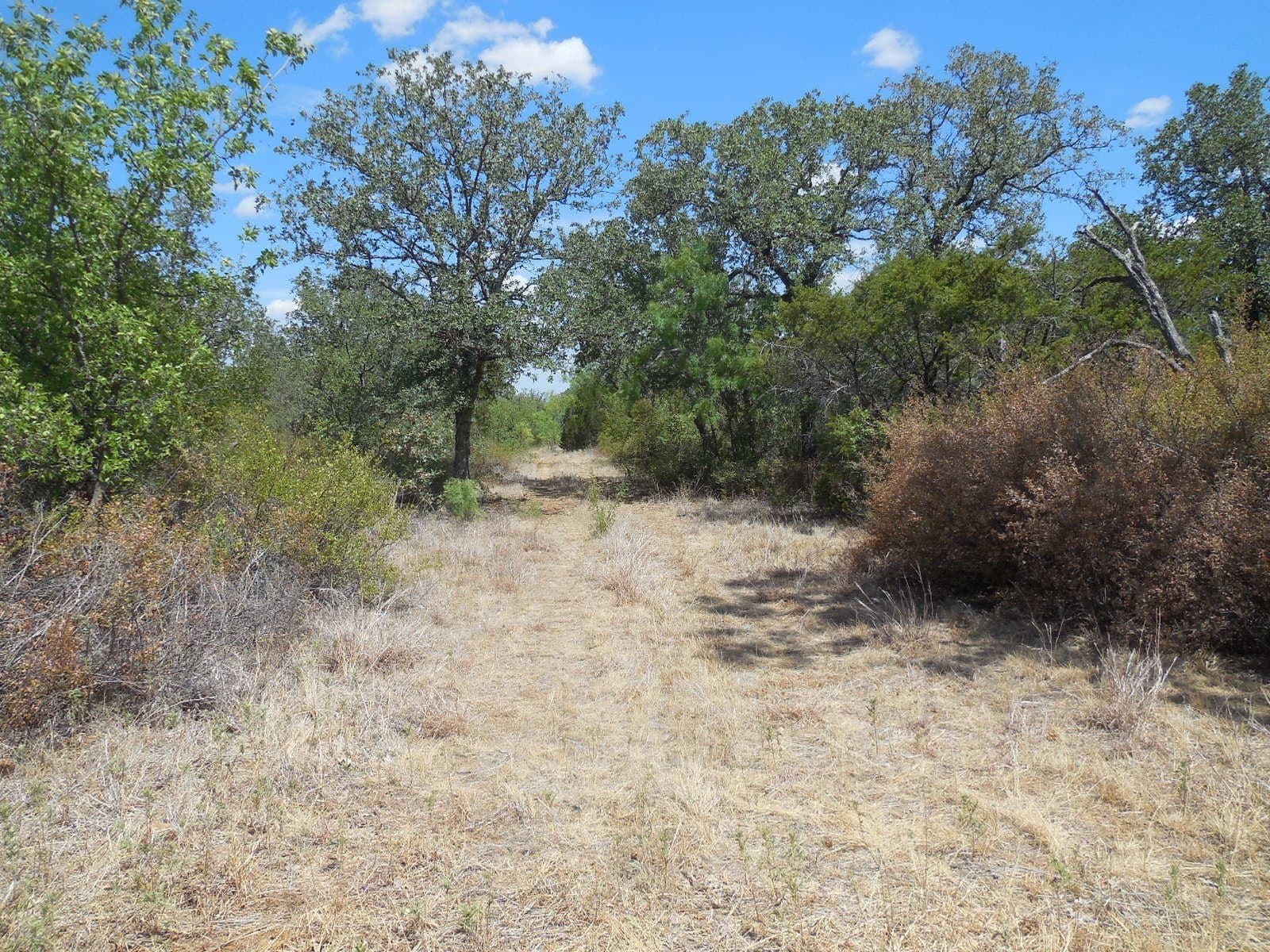 10 acres in Stephens County