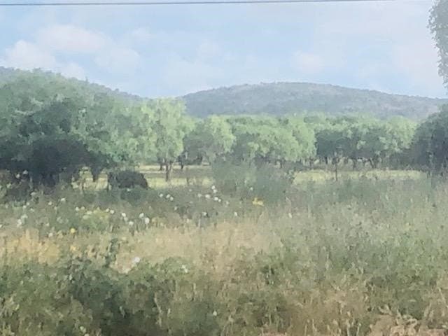 0.5 acres in Llano County
