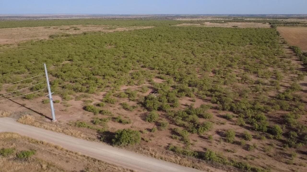 80 acres in Hardeman County