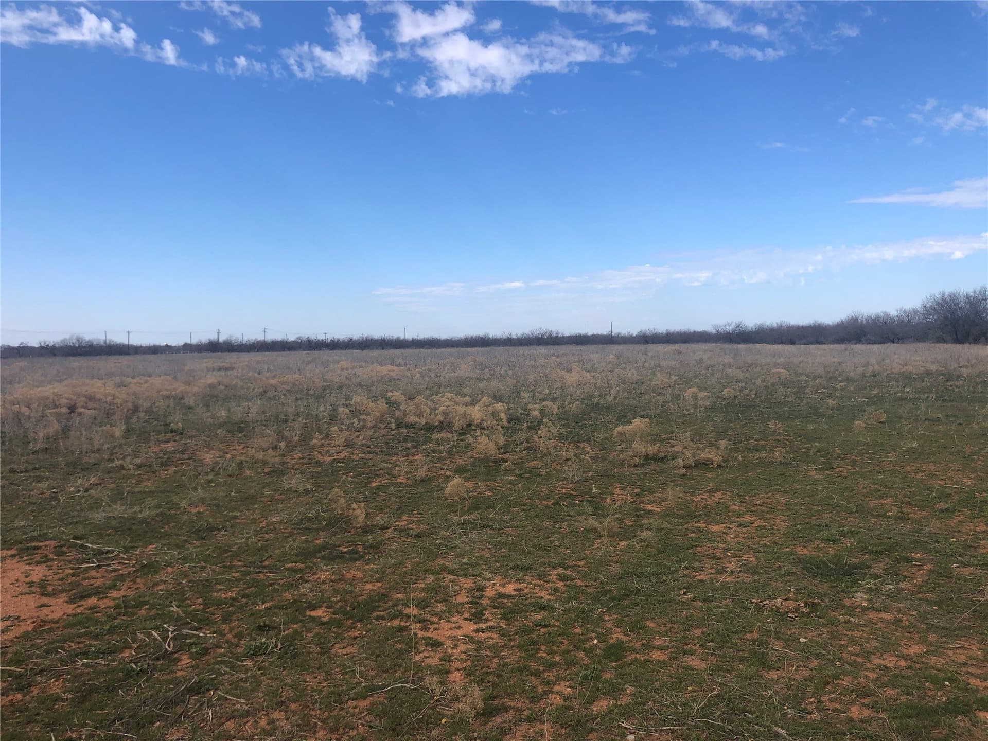 90 acres in Taylor County