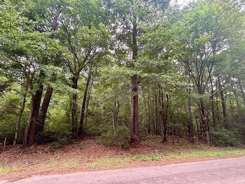 0.9 acres in Texas County