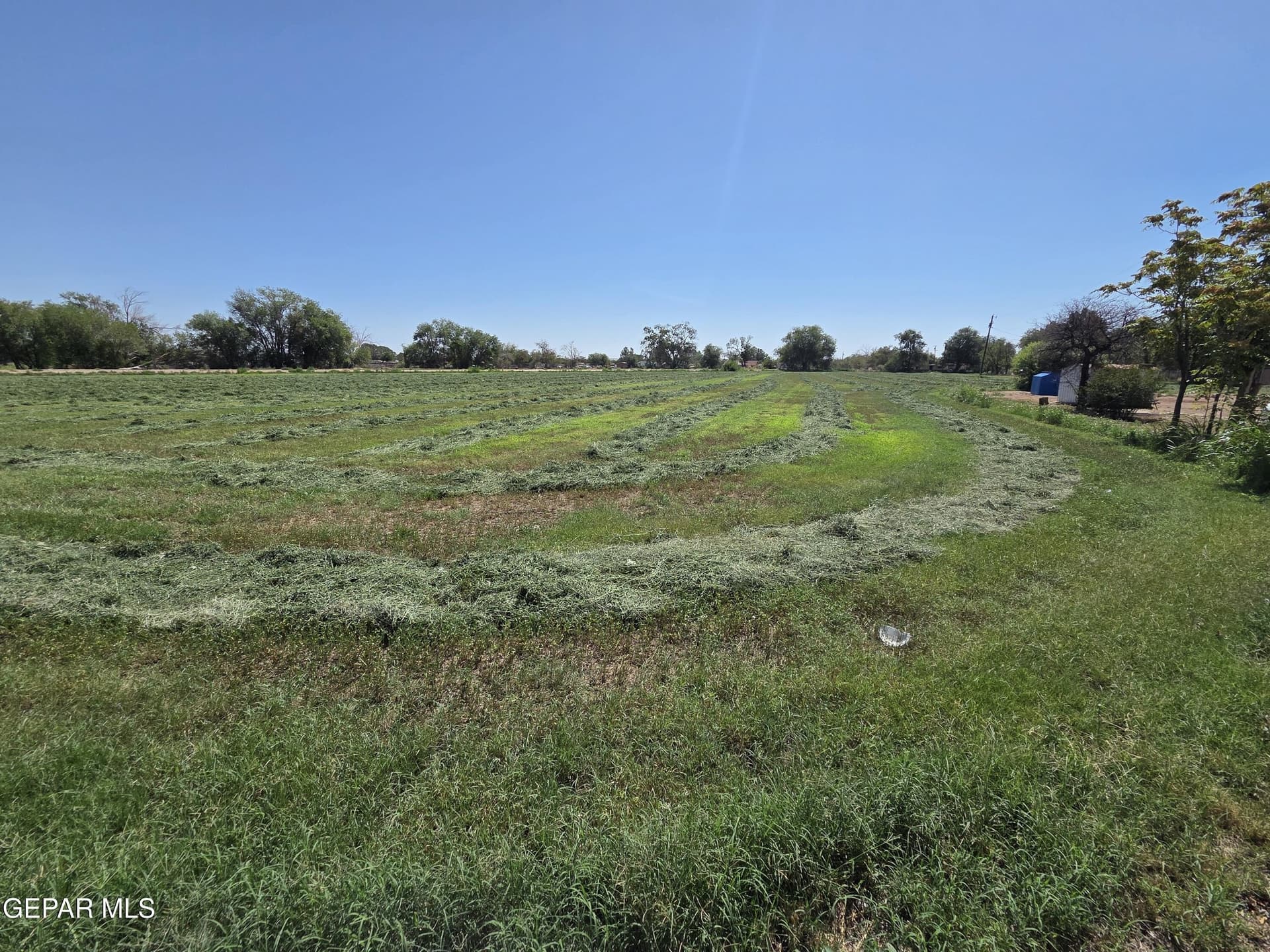 10 acres in El Paso County