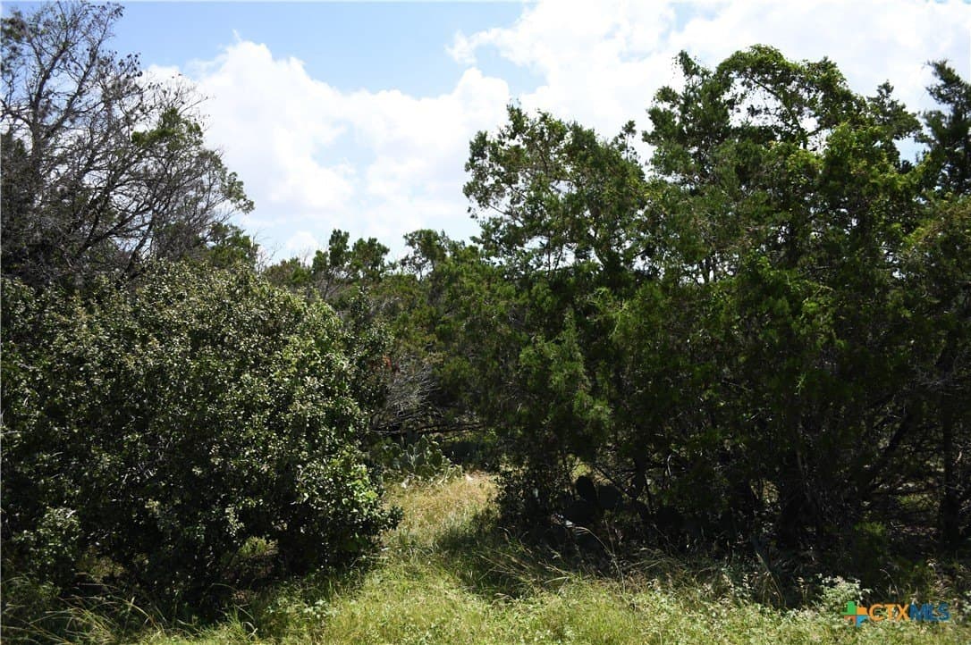 0.24 acres in Comal County