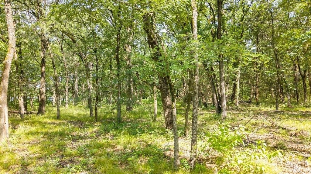 1.24 acres in Fannin County