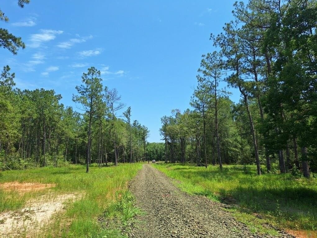 15.85 acres in Texas County
