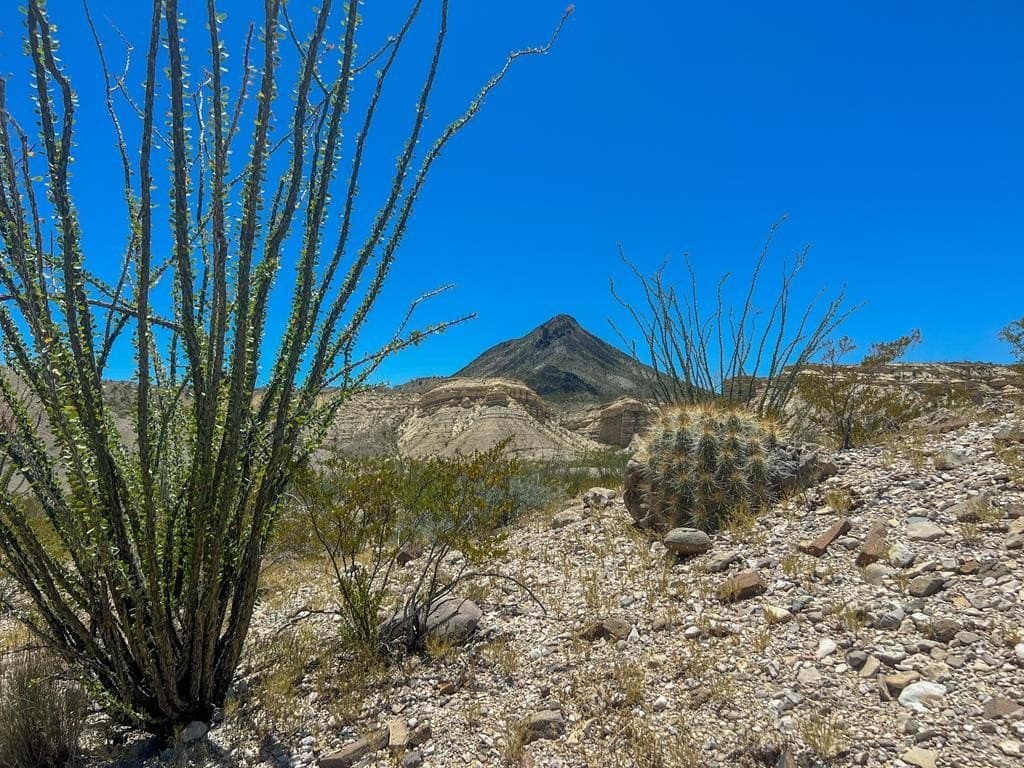 40.1 acres in Brewster County