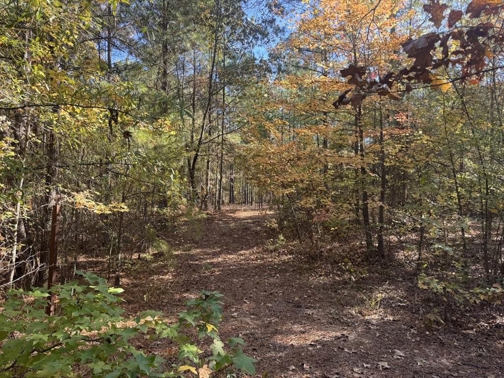 2 acres in Red River (TX) County