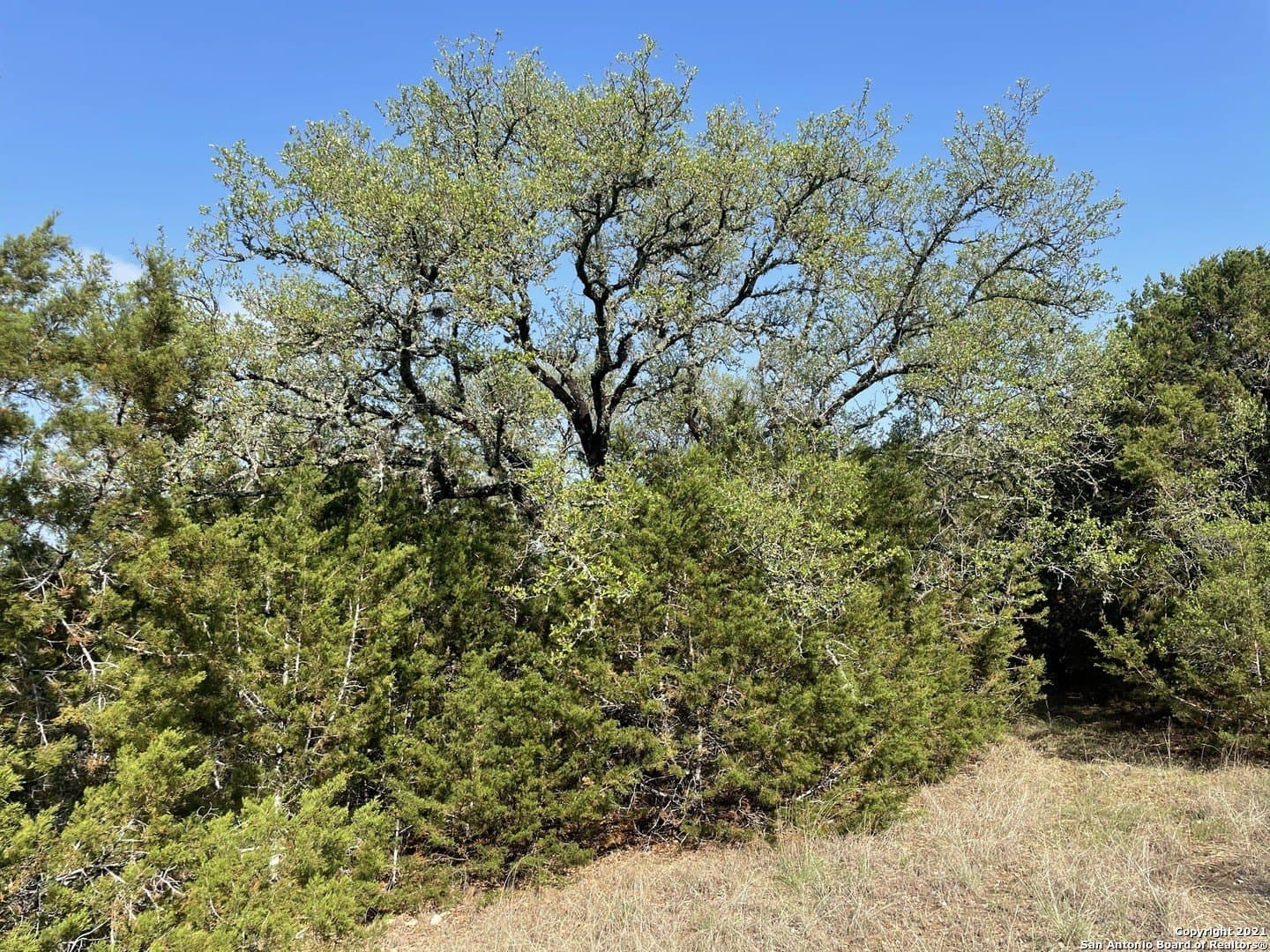 0.96 acres in Comal County