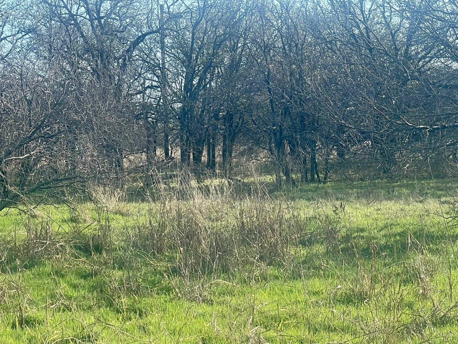 292 acres in Montague County