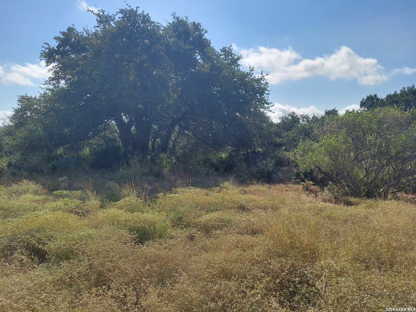 1.64 acres in Comal County