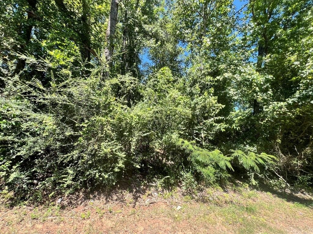 3.47 acres in Texas County