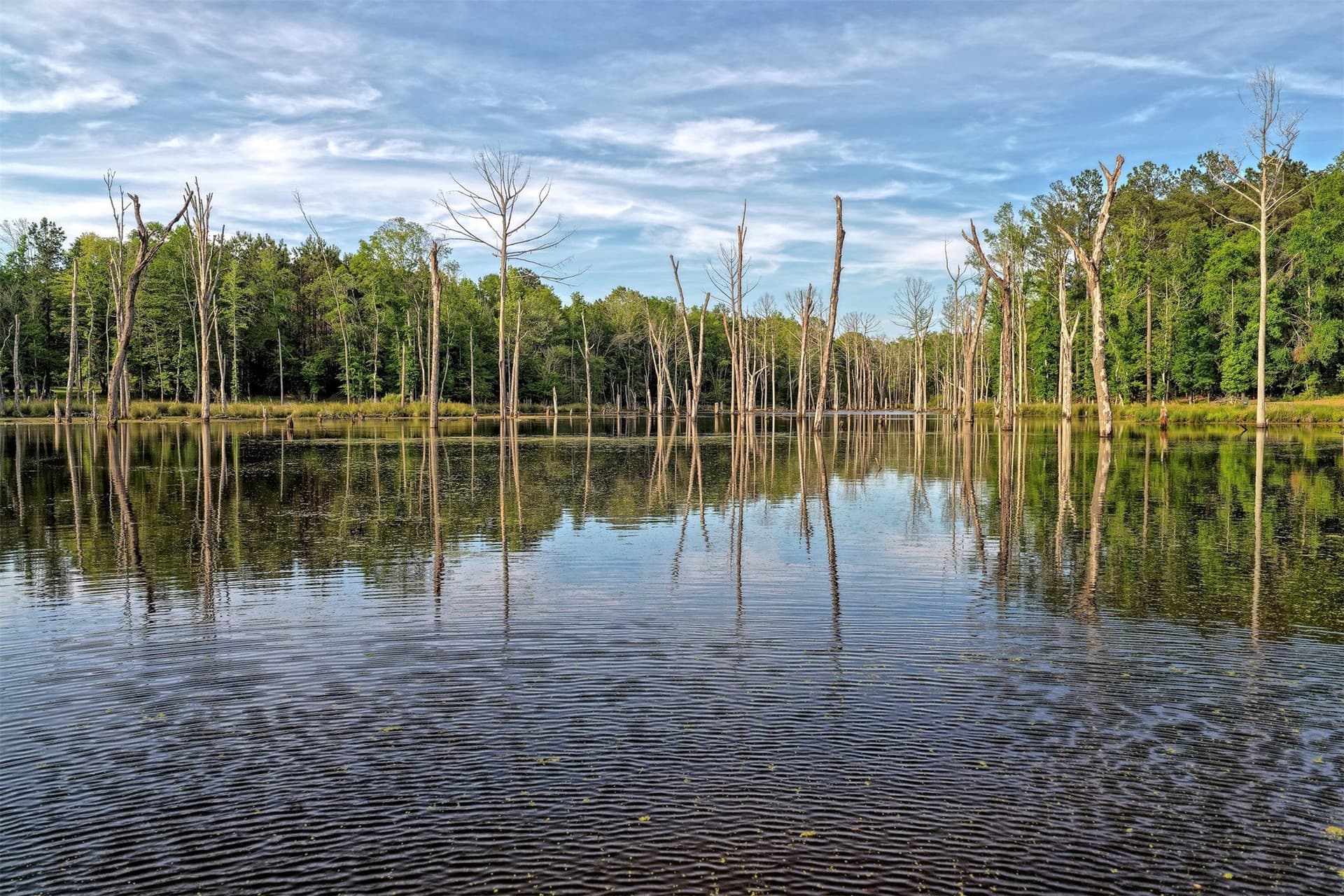 340.63 acres in Panola County