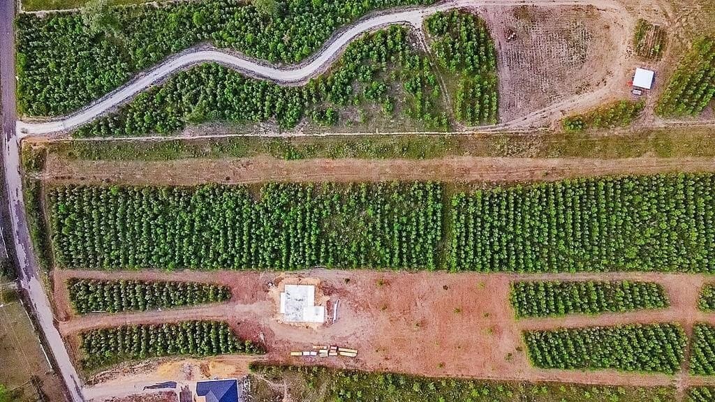 5 acres in Texas County