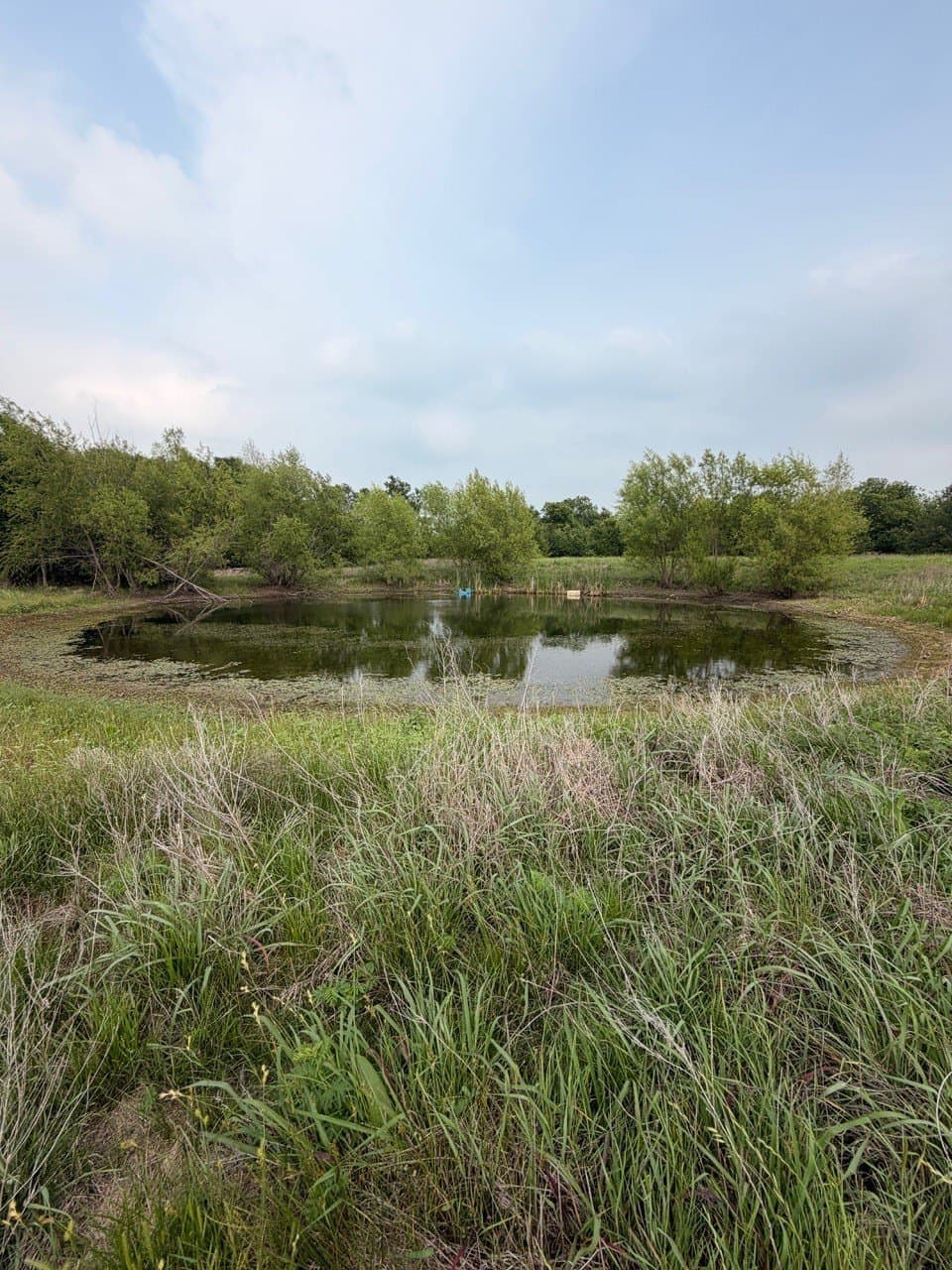 16.32 acres in Hill County