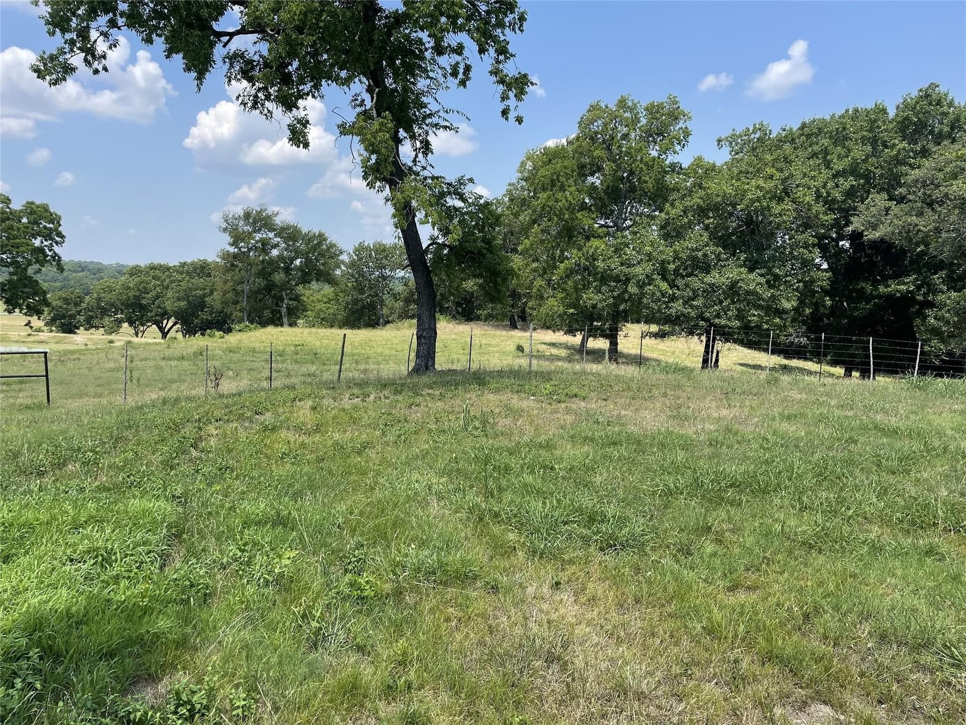 124.27 acres in Fannin County