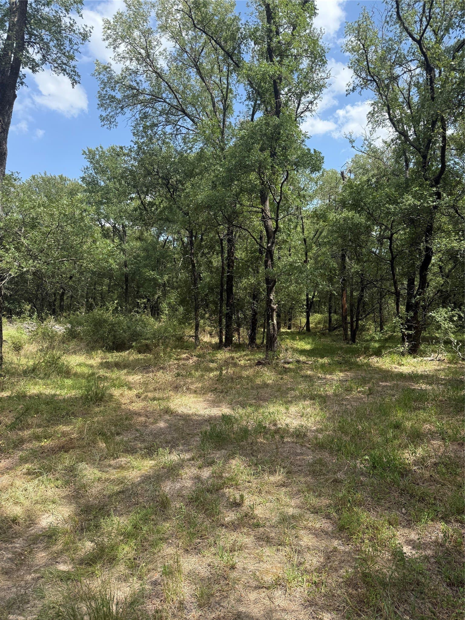 5.97 acres in McLennan County
