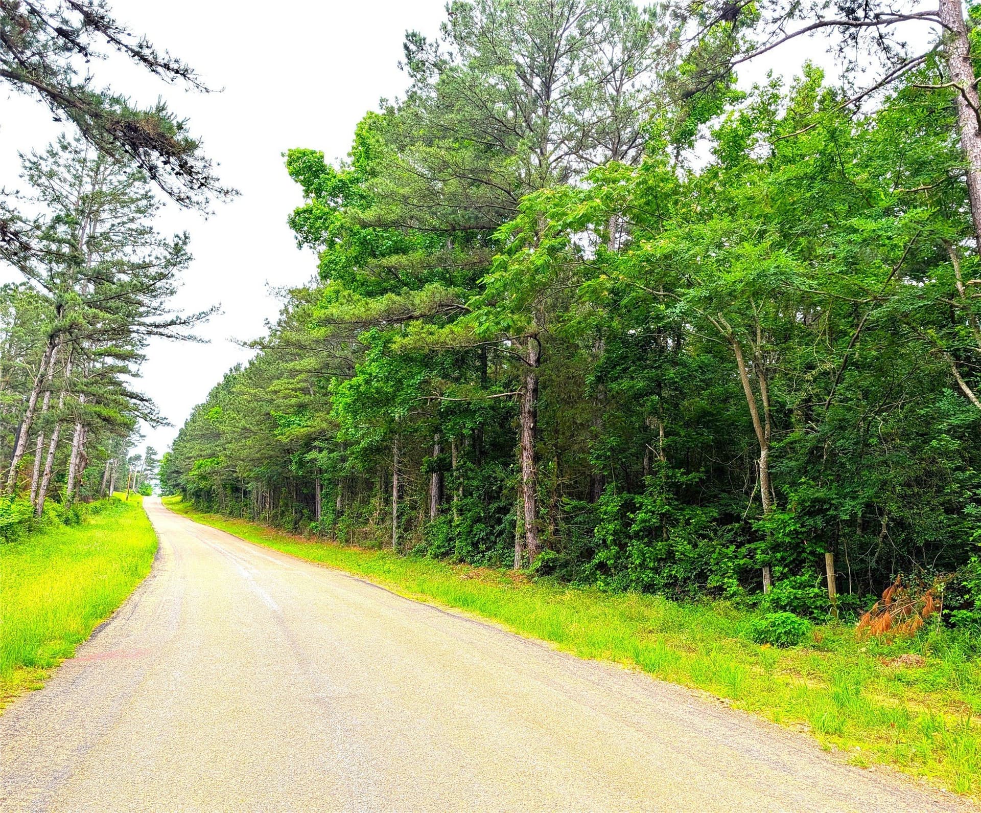 66.4 acres in Cherokee County
