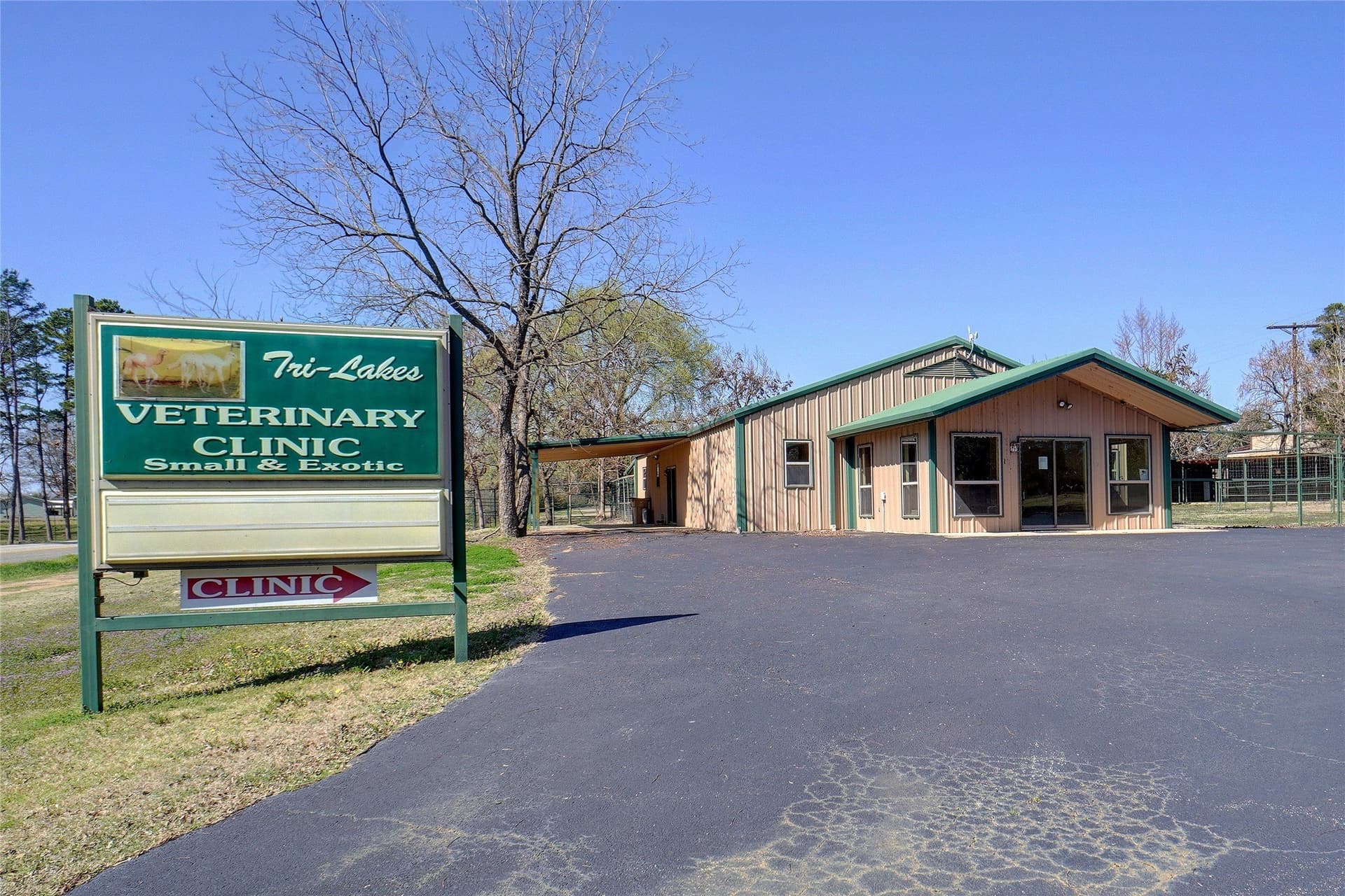 53.65 acres in Titus County
