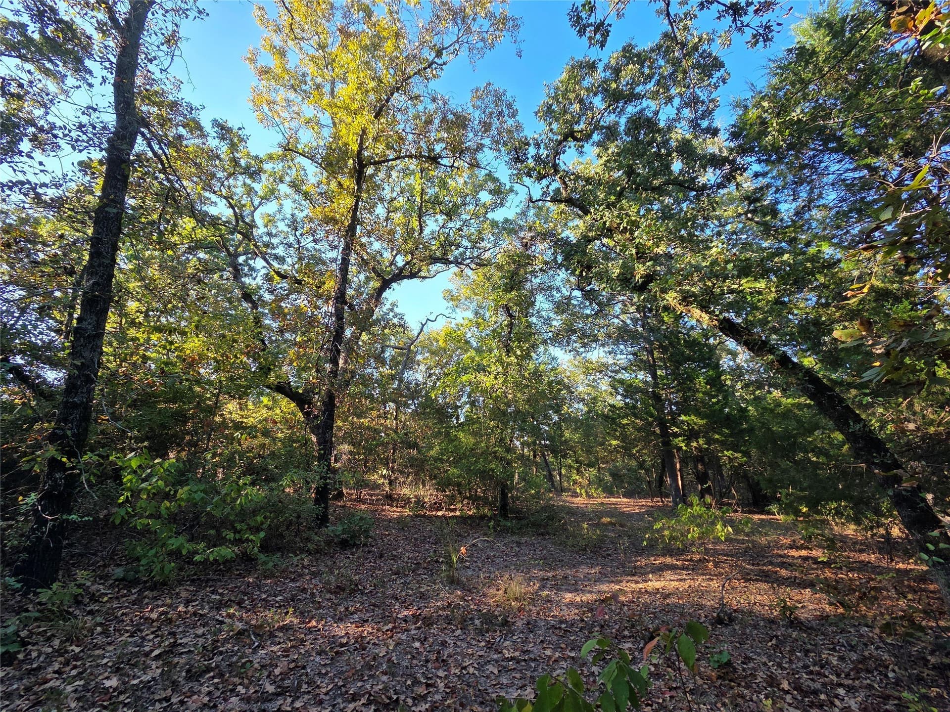 5.17 acres in Henderson County
