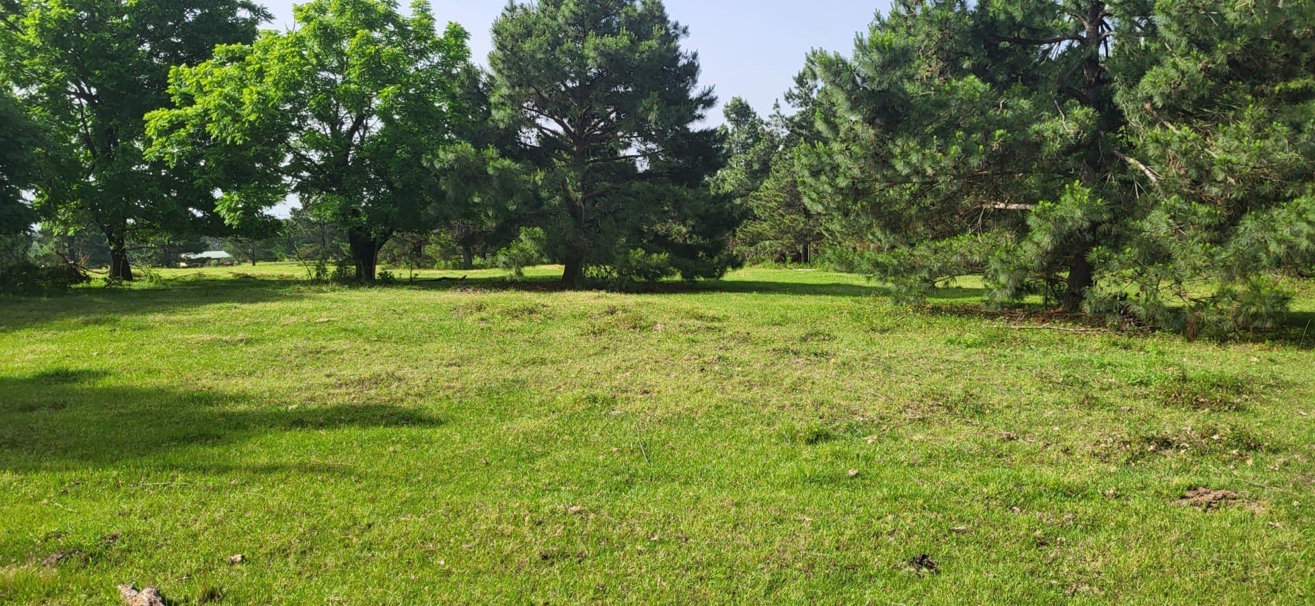 15 acres in Hopkins County