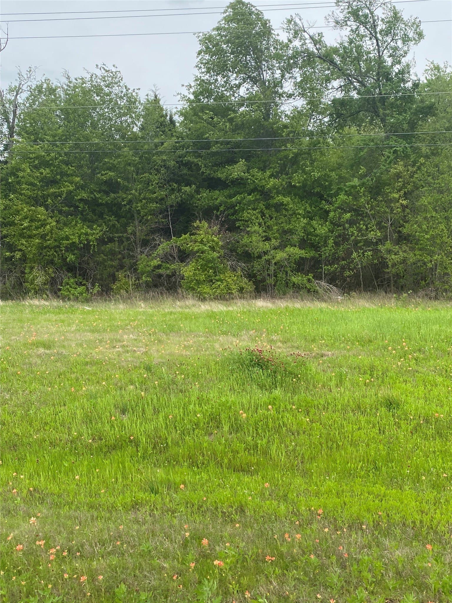 1.62 acres in Henderson County