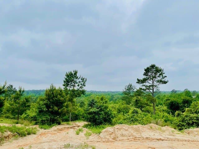 23.67 acres in Wood County
