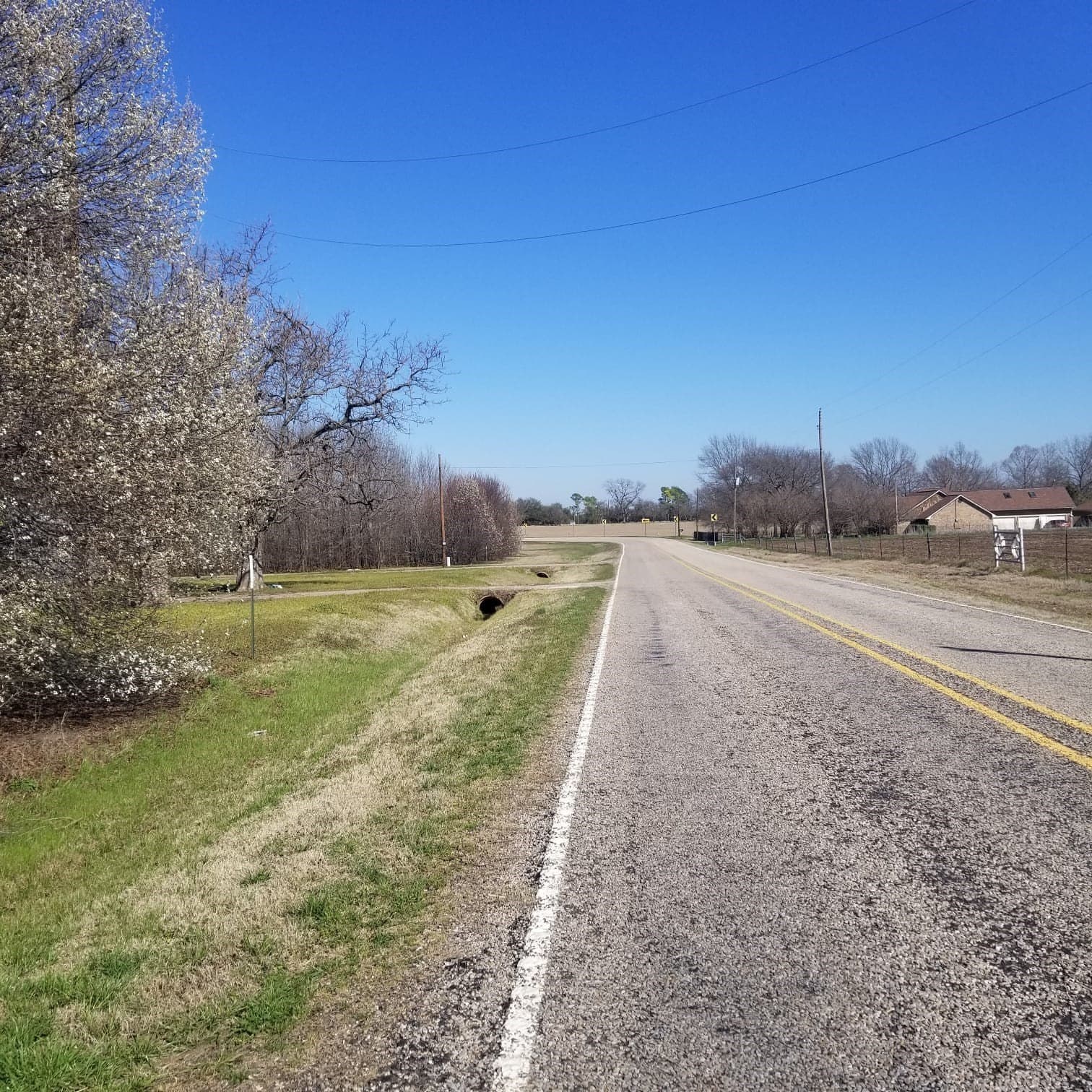 11 acres in Grayson County