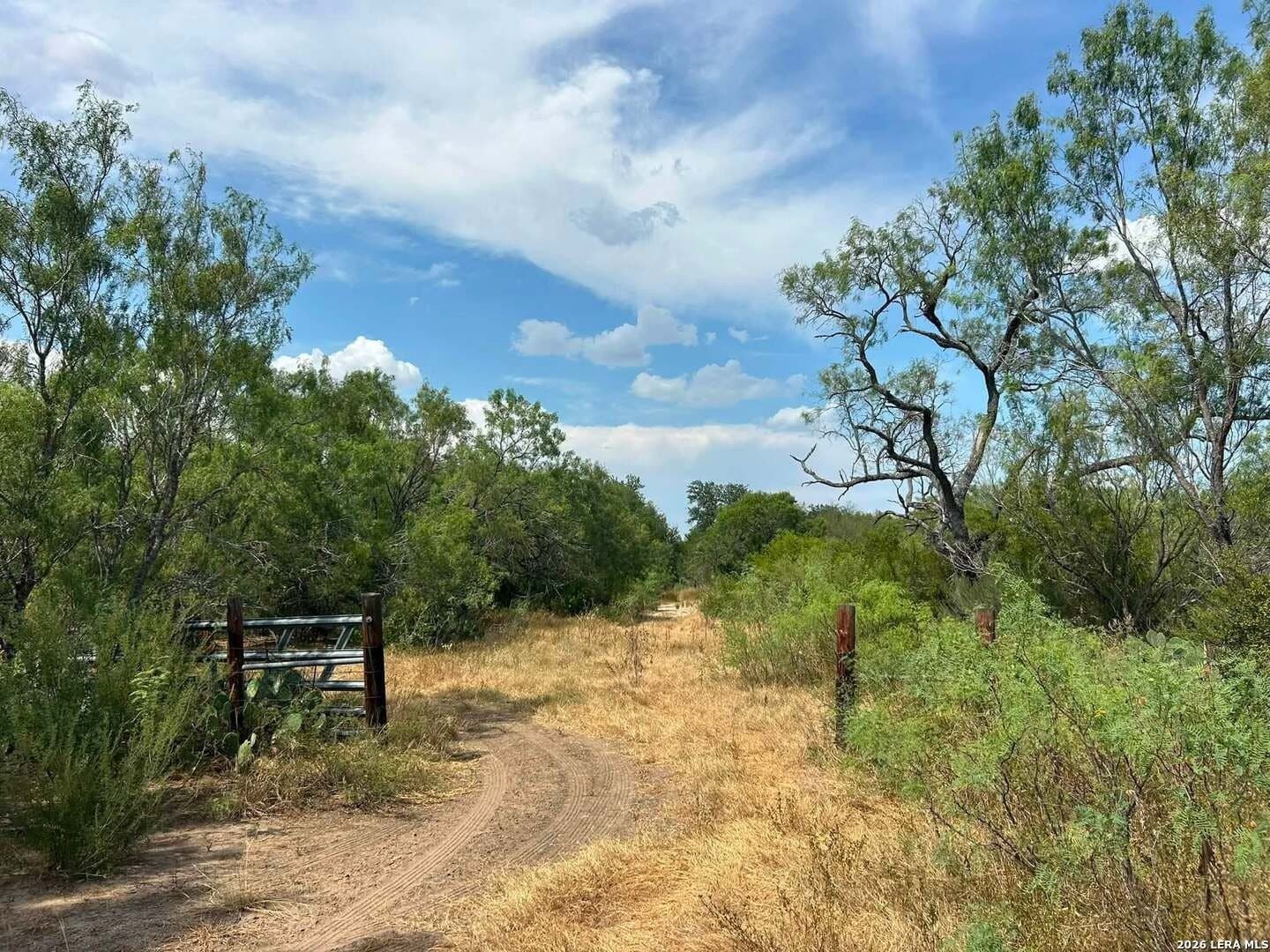 41.44 acres in Atascosa County