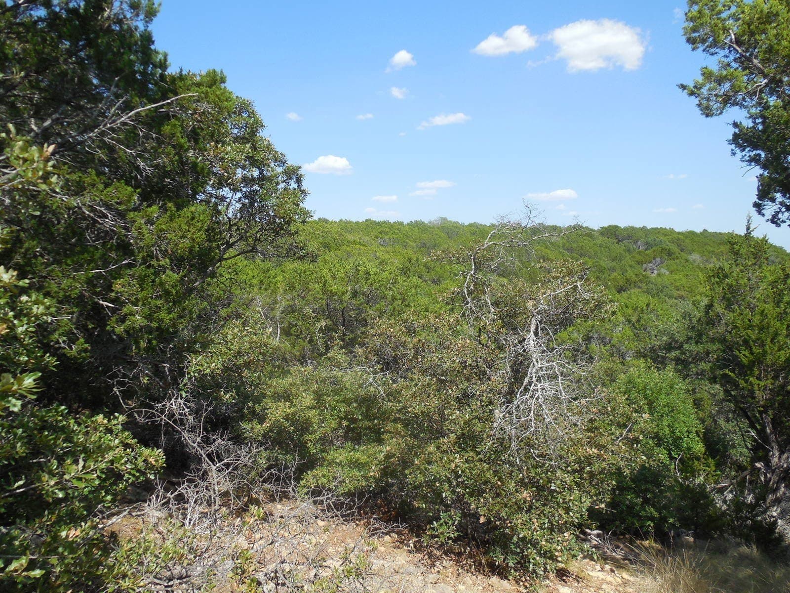 151.99 acres in Eastland County