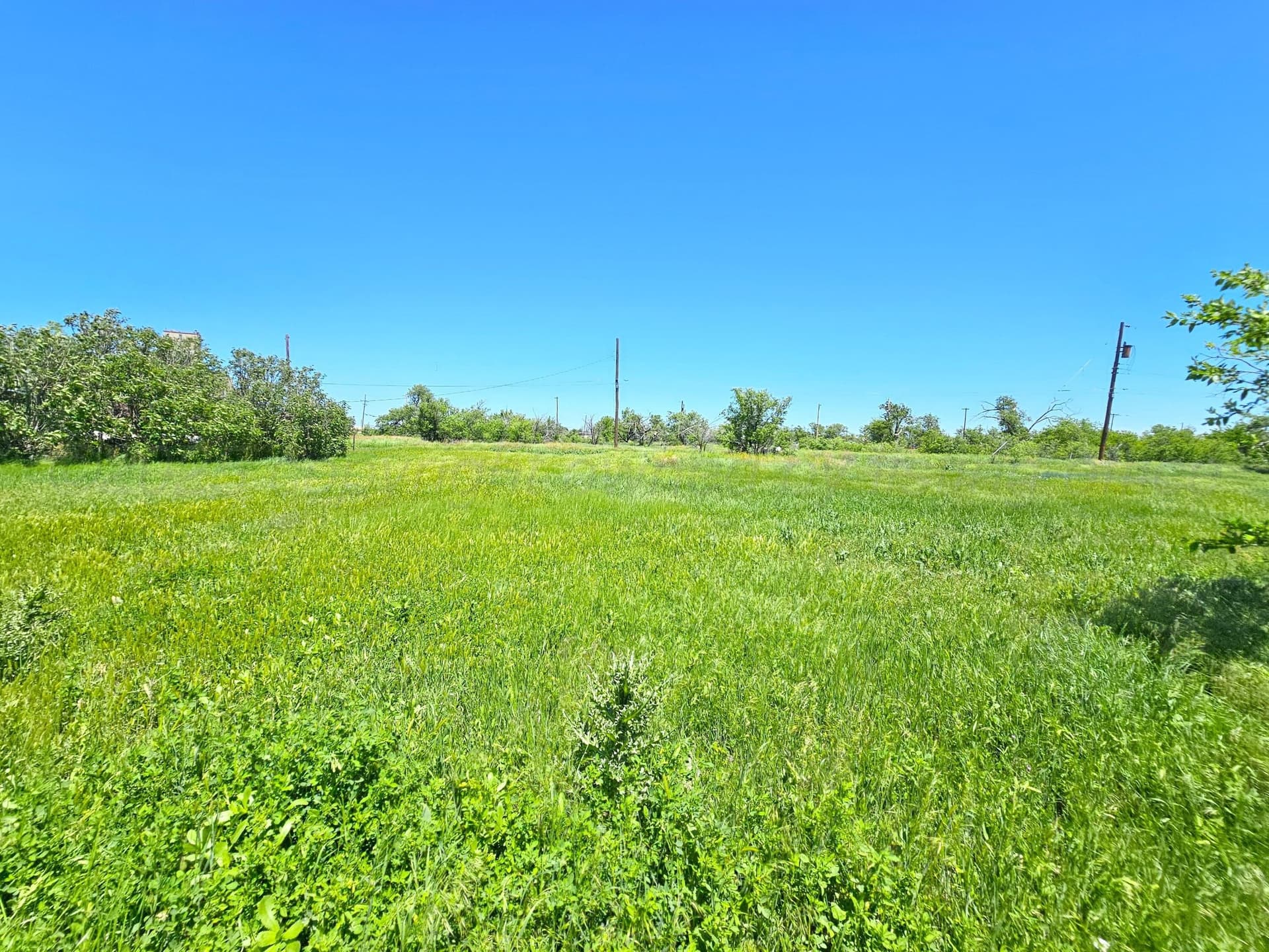 0 acres in Texas County