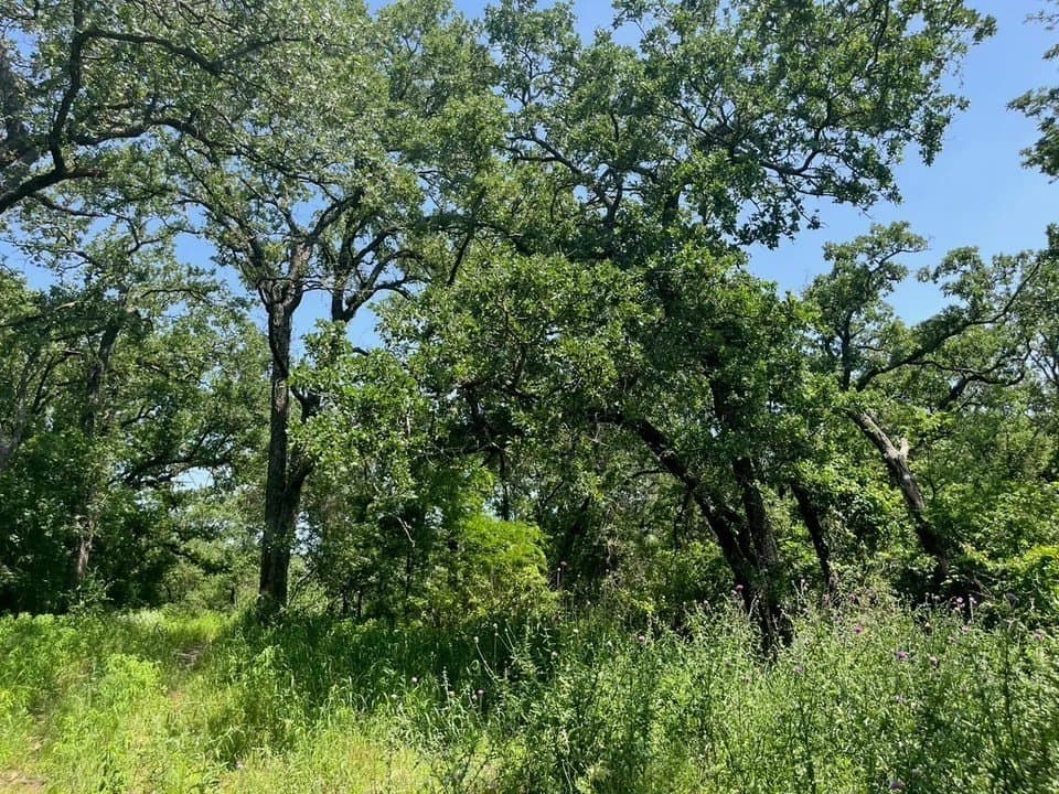2 acres in Parker County