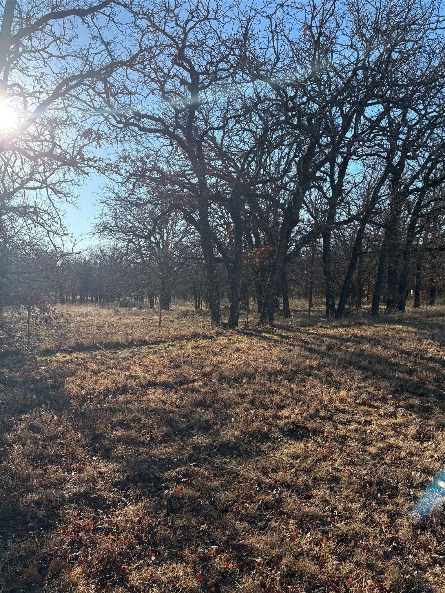 20 acres in Hamilton County