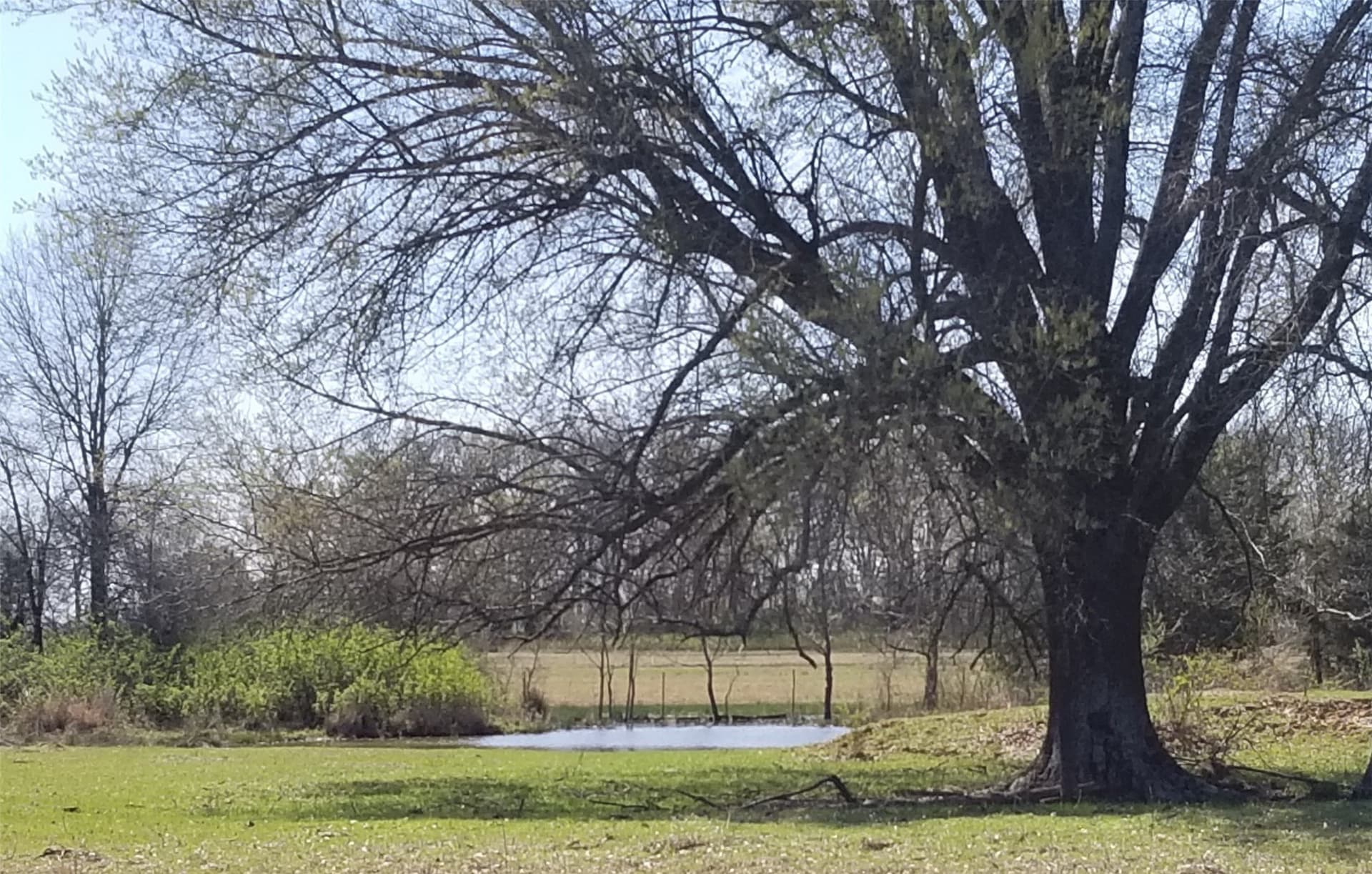 69.34 acres in Lamar County