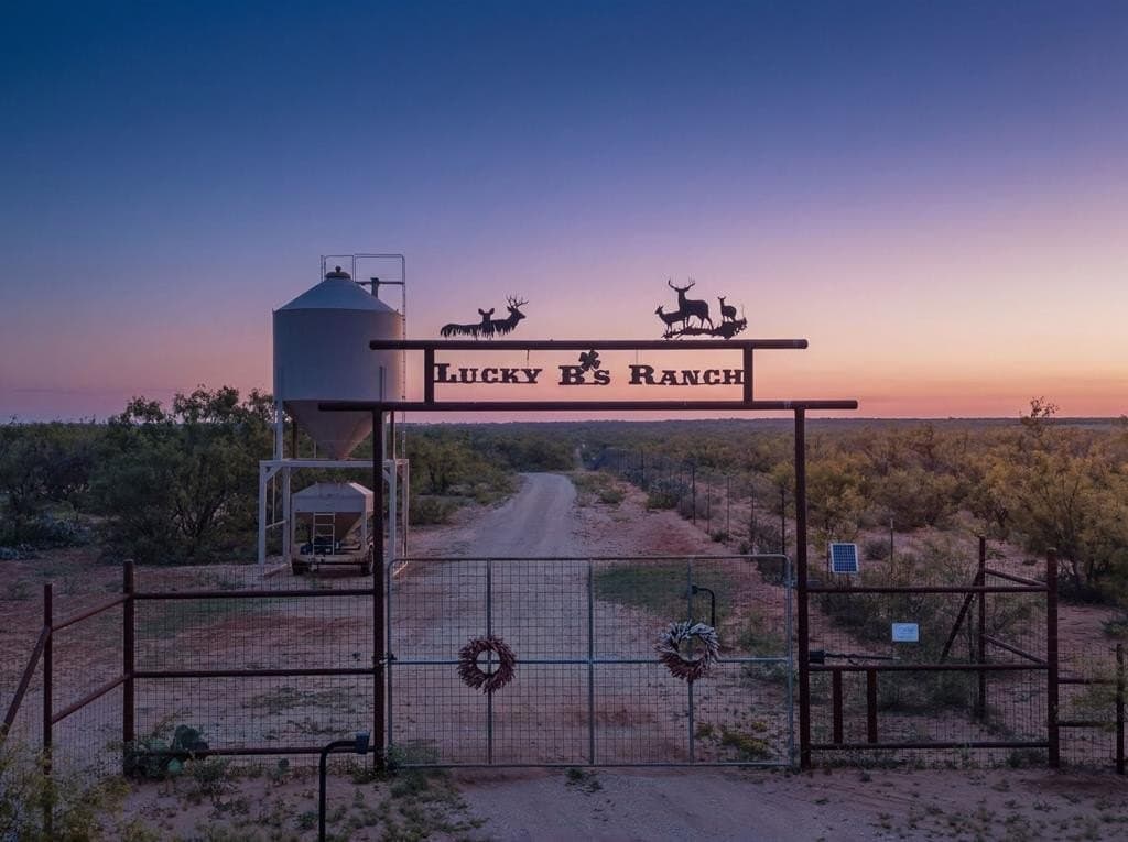 347 acres in Mitchell County